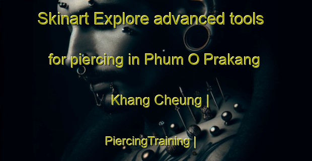 Skinart Explore advanced tools for piercing in Phum O Prakang Khang Cheung | PiercingTraining | PiercingClasses | SkinartTraining-Cambodia